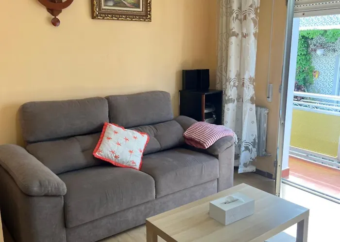 Renovado Arenales